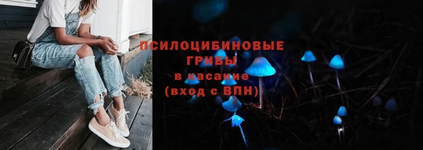 метадон Горнозаводск