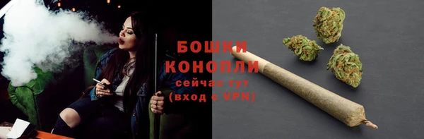 метадон Горнозаводск