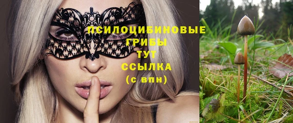 а пвп мука Пестово