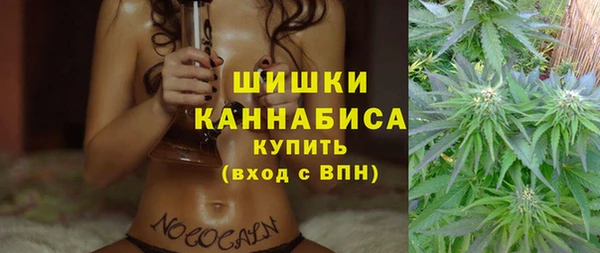 молекула духа Горно-Алтайск
