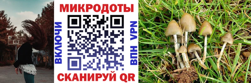 Псилоцибиновые грибы Magic Shrooms  купить наркотик  Мценск 